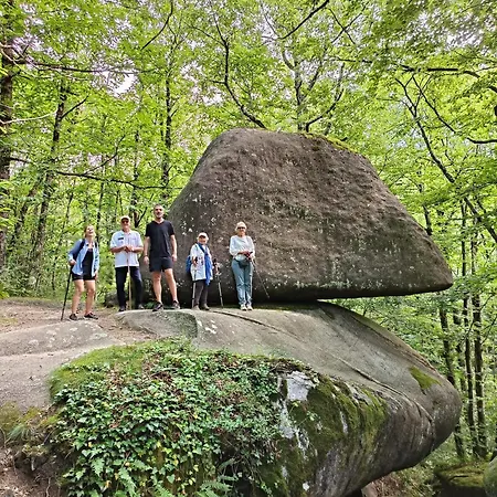 Hébergement de vacances L'oustal Lacrouzette