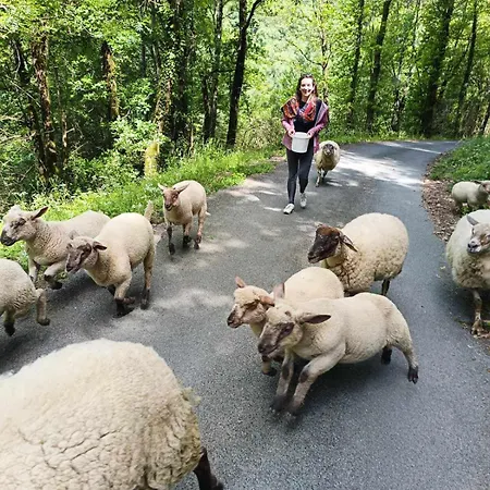 L'oustal * Lacrouzette